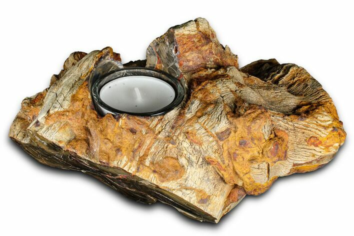 Petrified Wood Candle Holder - Madagascar #378689